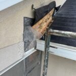 Moisture Intrusion 6